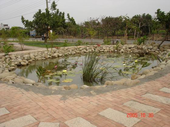 最漂亮的生態池