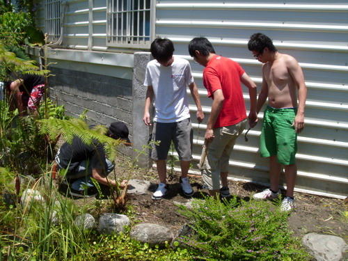 南藝大6位學生，暑期到牛根草協助整理庭園步道。