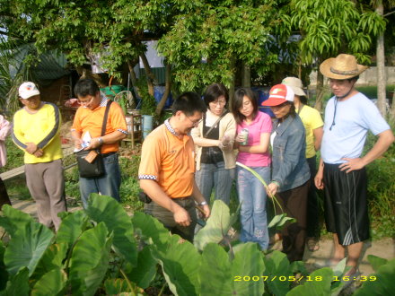 中亞黃老師親自到園區指導，季節性蔬菜如何種植