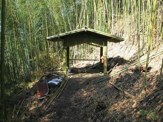 就地取材之竹製涼亭