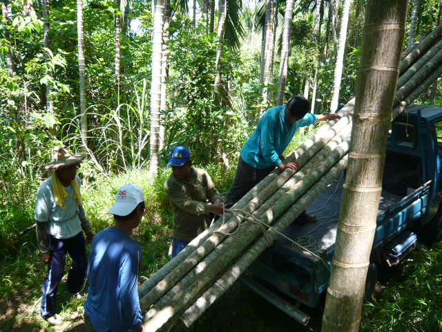多功能旅遊接待中心-上山採集竹子及檳榔樹