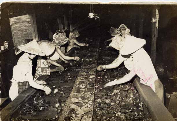 民國52年法令禁止女工入坑才到坑外工作，婦女不進礦坑因溫度高，工人多去身（裸體）。　從事坑外的檢石、推車、水洗、選煤的工作。但像這種選煤工作，她們最行。
