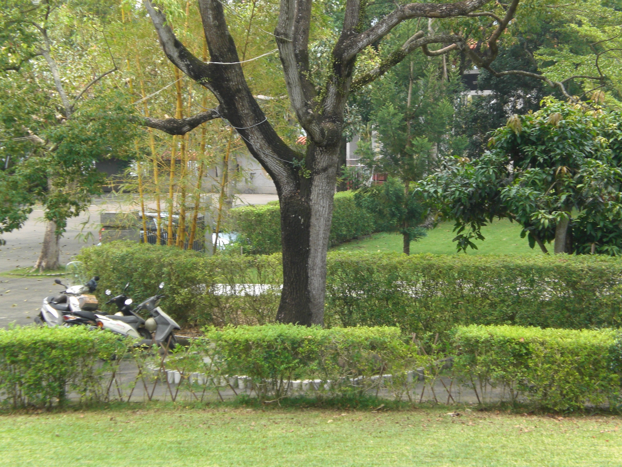 竹山德山寺-門前庭園