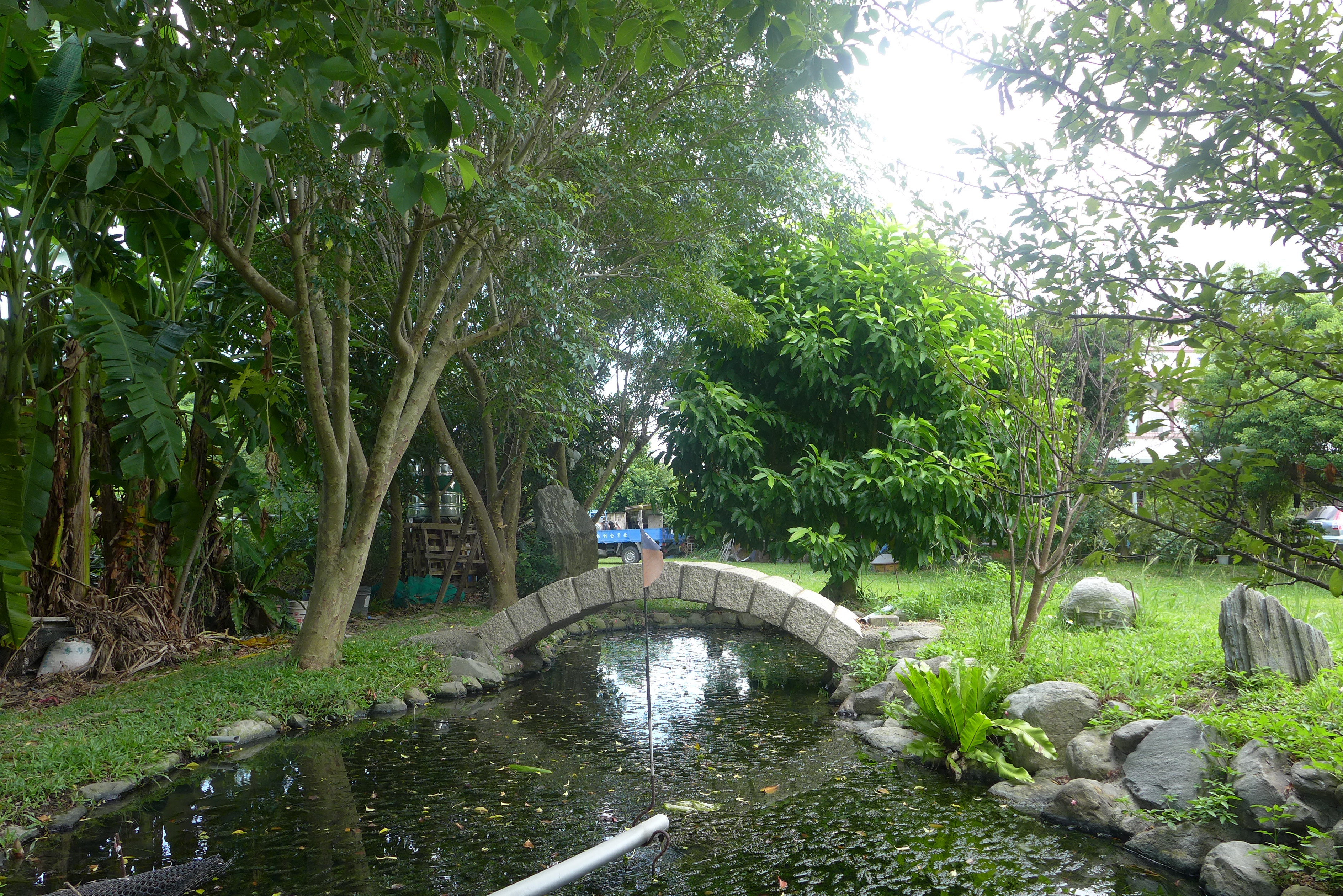 許家花園的小生態池
