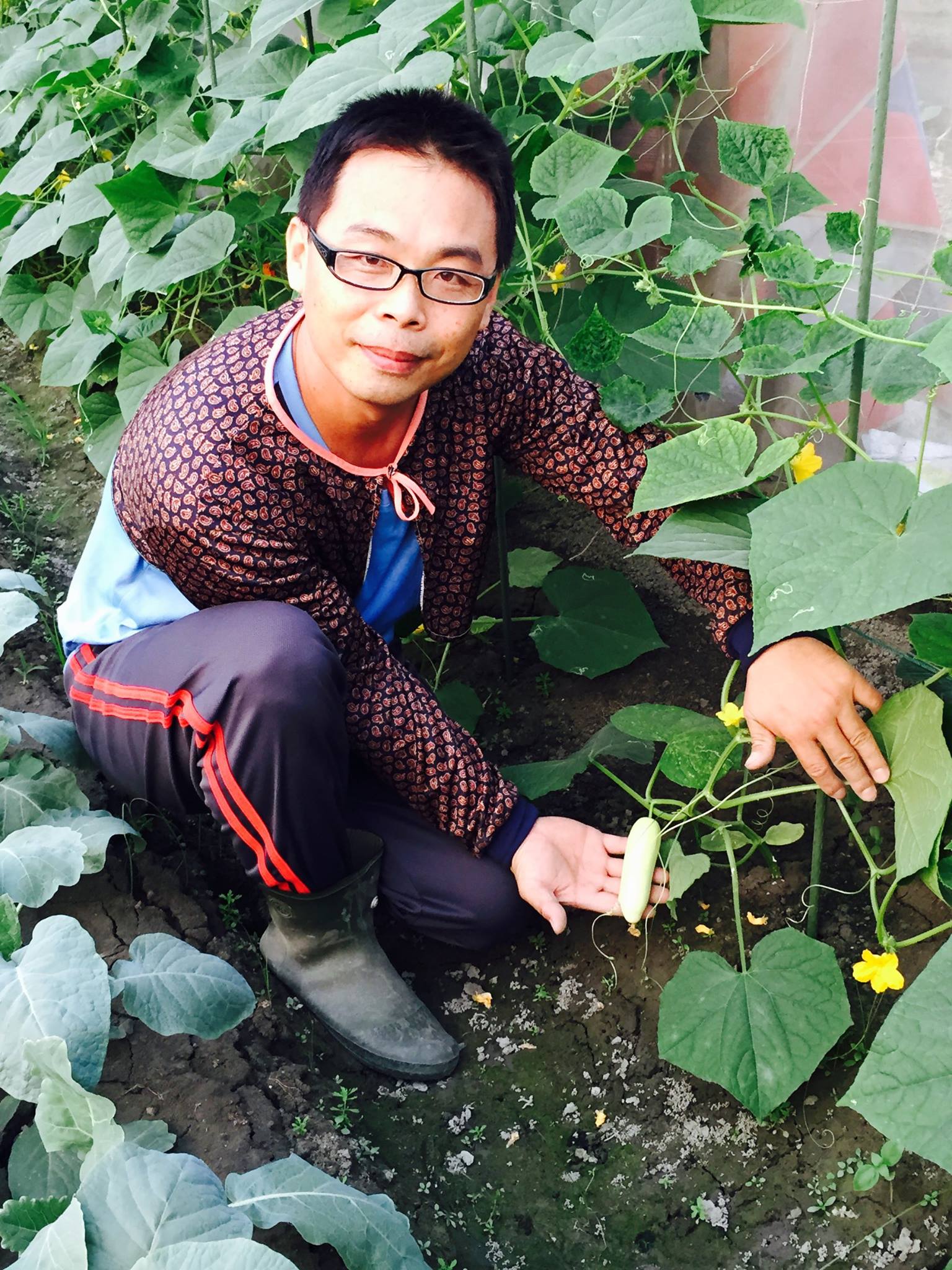 溫室種植的張福津大哥和好吃的瓜