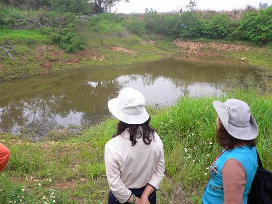 大度山紅腳蹄水池-等高360公尺的大肚山上我們發現了水池